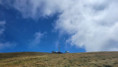 /album/fotogalerie-sommer/ouo-koralpe-0072025-jpg1/